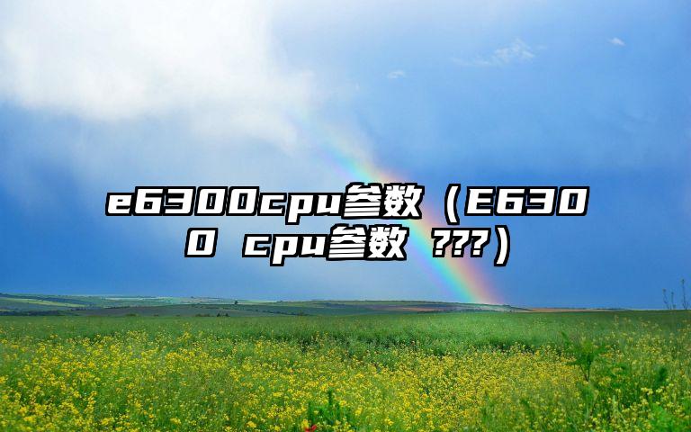 e6300cpu参数（E6300 cpu参数 ???）