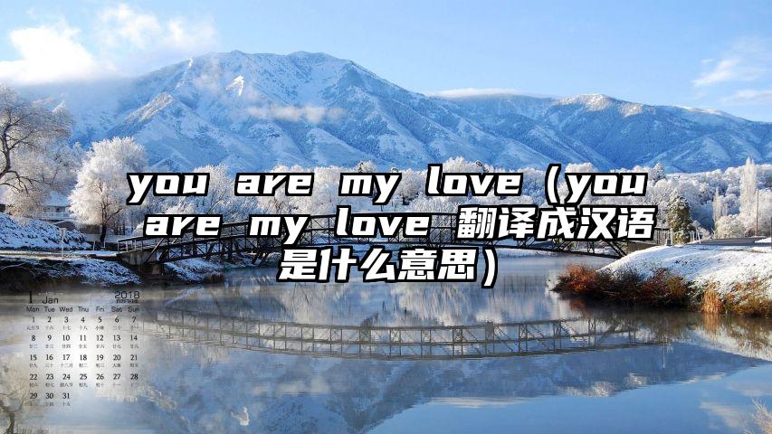 you are my love（you are my love 翻译成汉语是什么意思）
