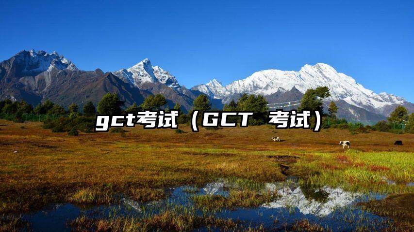 gct考试（GCT 考试）
