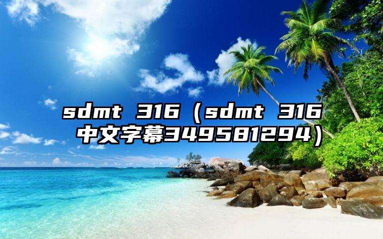 sdmt 316（sdmt 316 中文字幕349581294）
