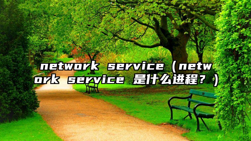 network service（network service 是什么进程？）