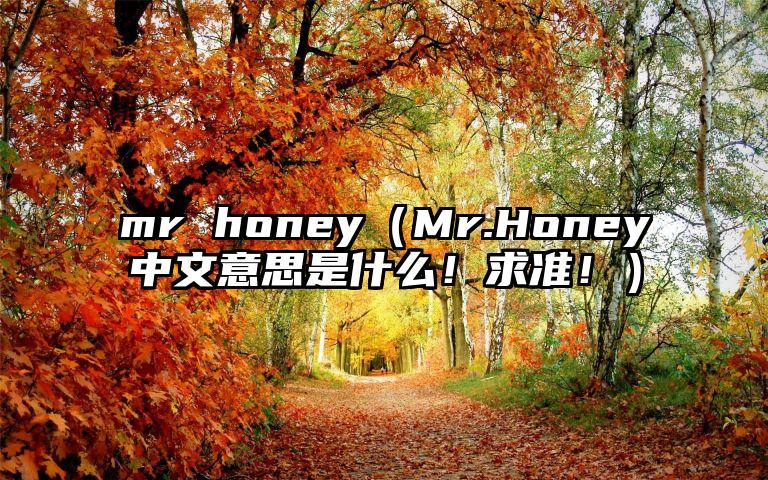 mr honey（Mr.Honey中文意思是什么！求准！）