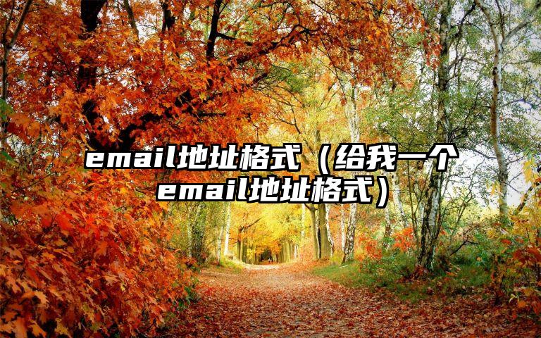 email地址格式（给我一个email地址格式）