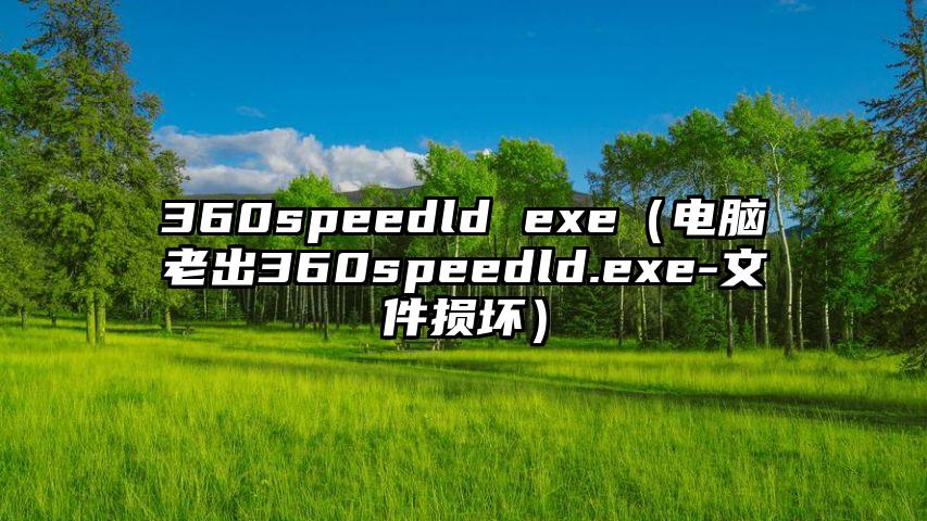 360speedld exe（电脑老出360speedld.exe-文件损坏）