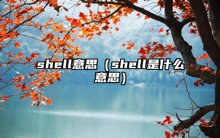 shell意思（shell是什么意思）