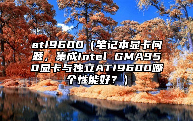 ati9600（笔记本显卡问题，集成Intel GMA950显卡与独立ATI9600哪个性能好？）