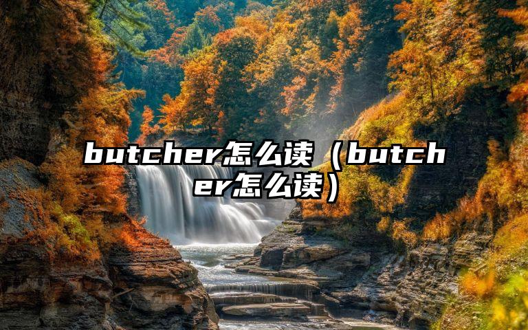 butcher怎么读（butcher怎么读）