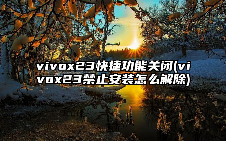 vivox23快捷功能关闭(vivox23禁止安装怎么解除)