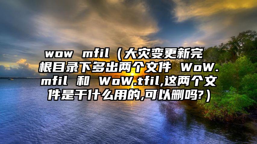 wow mfil（大灾变更新完 根目录下多出两个文件 WoW.mfil 和 WoW.tfil,这两个文件是干什么用的,可以删吗?）