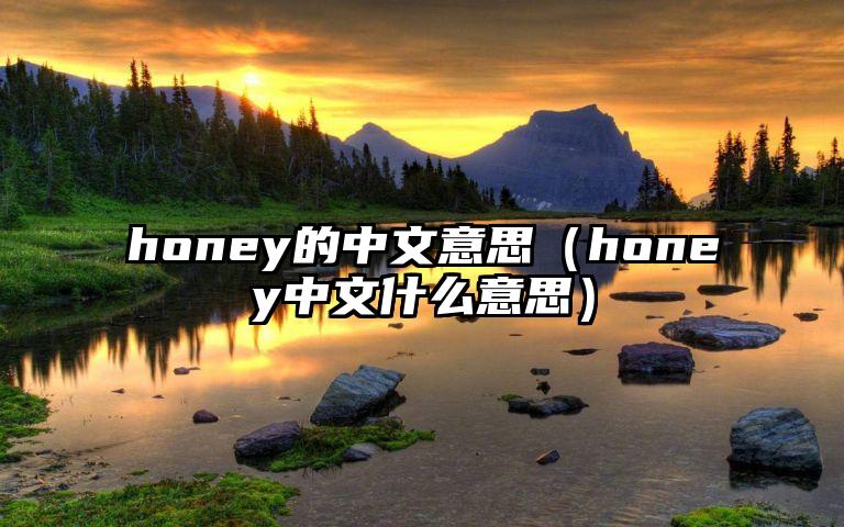 honey的中文意思（honey中文什么意思）