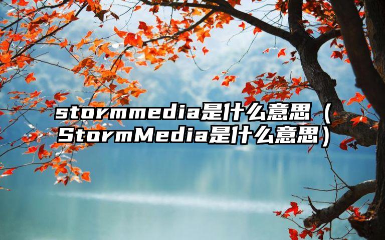 stormmedia是什么意思（StormMedia是什么意思）