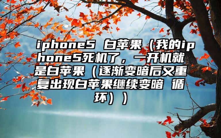 iphone5 白苹果（我的iphone5死机了，一开机就是白苹果（逐渐变暗后又重复出现白苹果继续变暗 循环））