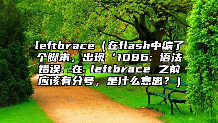 leftbrace（在flash中编了个脚本，出现‘1086: 语法错误: 在 leftbrace 之前应该有分号，是什么意思？）