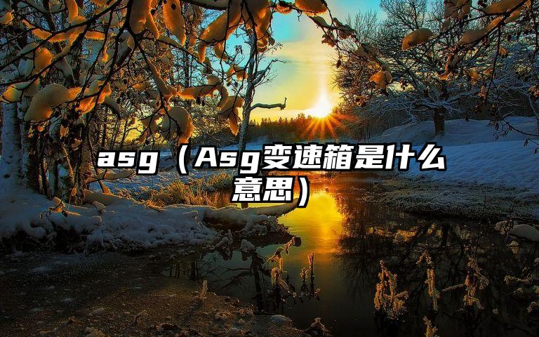 asg（Asg变速箱是什么意思）
