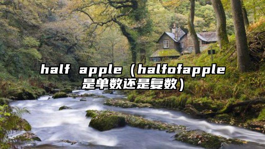 half apple（halfofapple是单数还是复数）