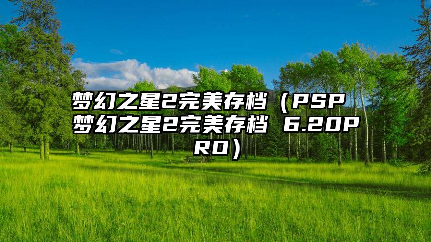 梦幻之星2完美存档（PSP 梦幻之星2完美存档 6.20PRO）