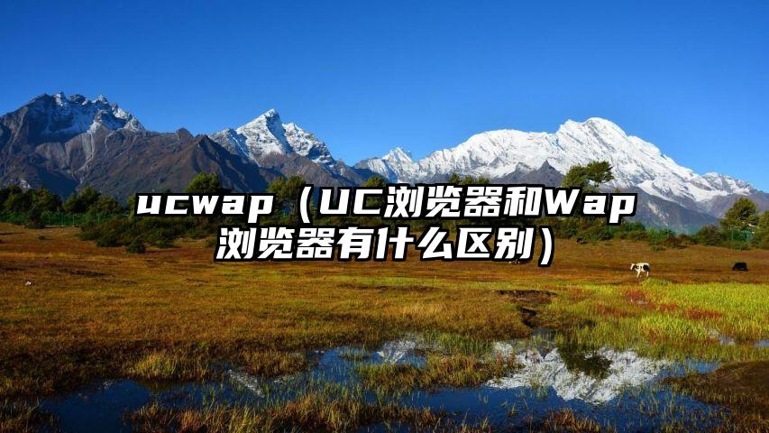 ucwap（UC浏览器和Wap浏览器有什么区别）
