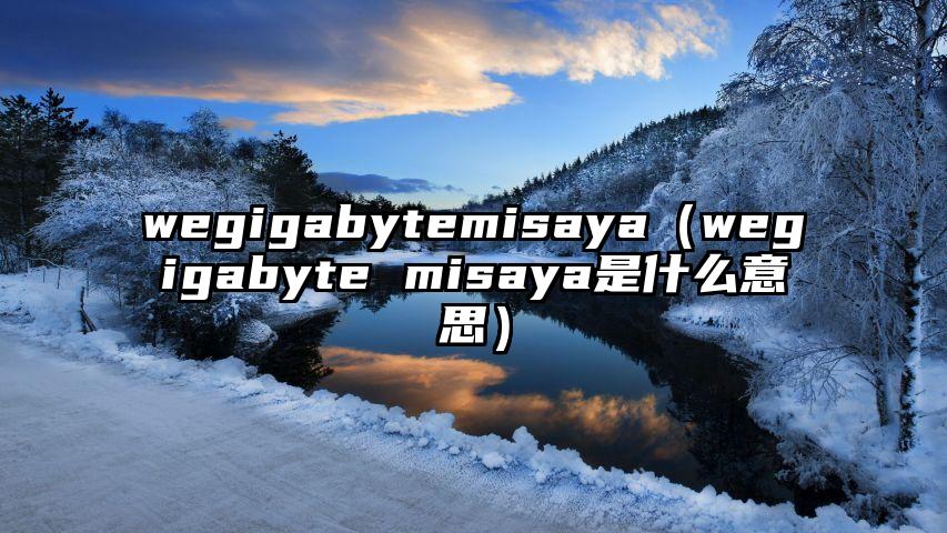 wegigabytemisaya（wegigabyte misaya是什么意思）