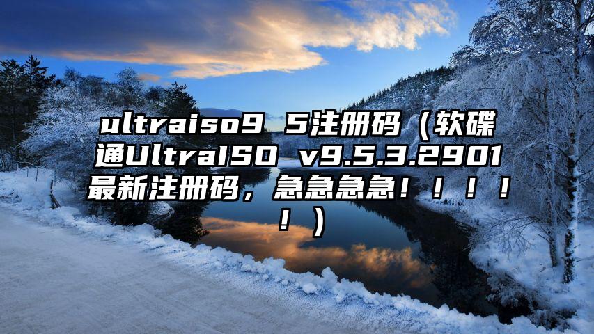ultraiso9 5注册码（软碟通UltraISO v9.5.3.2901最新注册码，急急急急！！！！！）