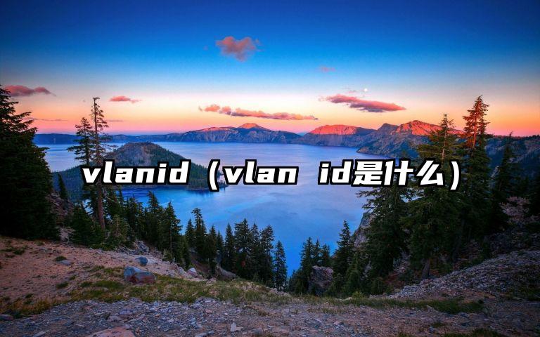 vlanid（vlan id是什么）