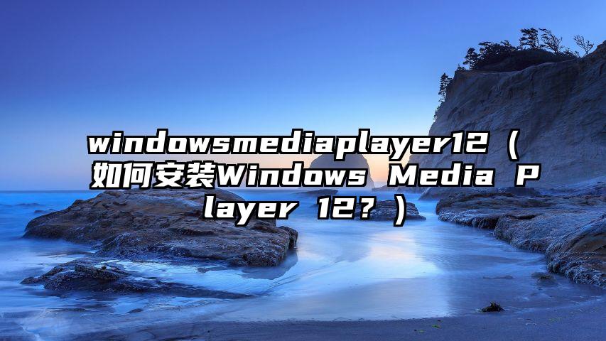 windowsmediaplayer12（如何安装Windows Media Player 12？）