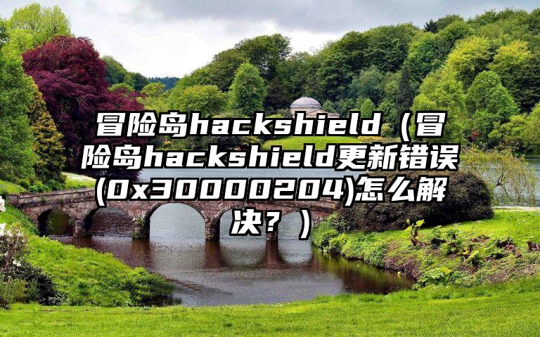 冒险岛hackshield（冒险岛hackshield更新错误(0x30000204)怎么解决？）