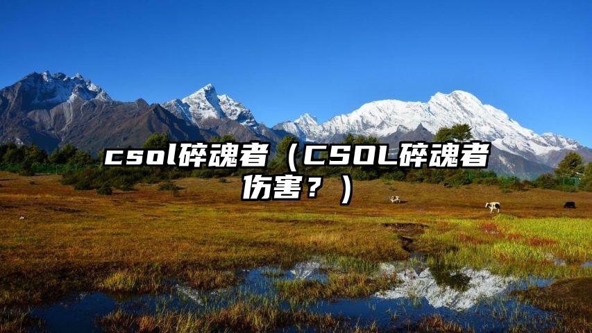 csol碎魂者（CSOL碎魂者伤害？）