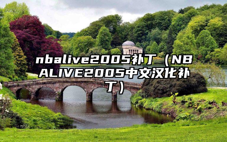 nbalive2005补丁（NBALIVE2005中文汉化补丁）
