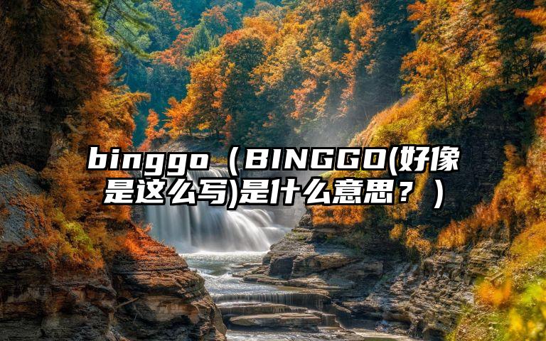 binggo（BINGGO(好像是这么写)是什么意思？）