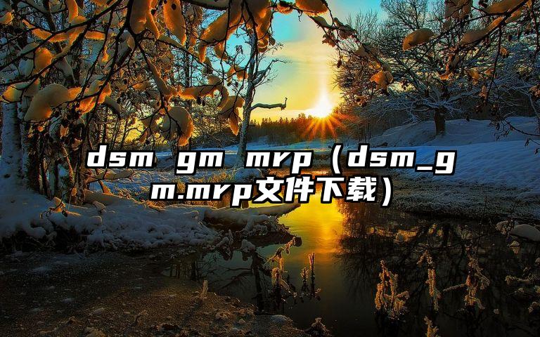 dsm gm mrp（dsm_gm.mrp文件下载）