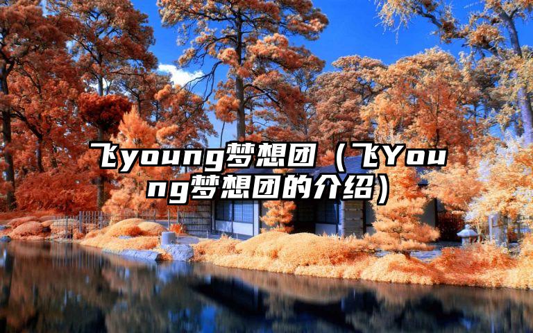 飞young梦想团（飞Young梦想团的介绍）