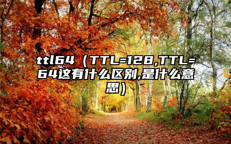 ttl64（TTL=128,TTL=64这有什么区别,是什么意思）