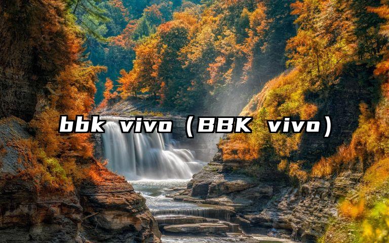 bbk vivo（BBK vivo）