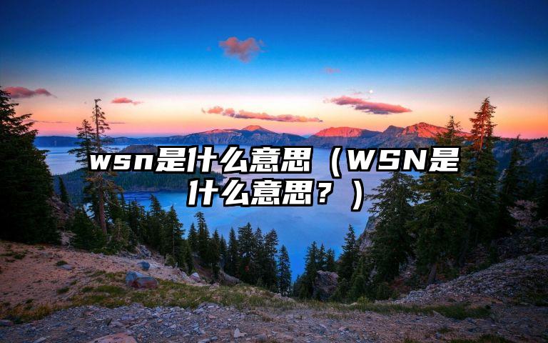 wsn是什么意思（WSN是什么意思？）
