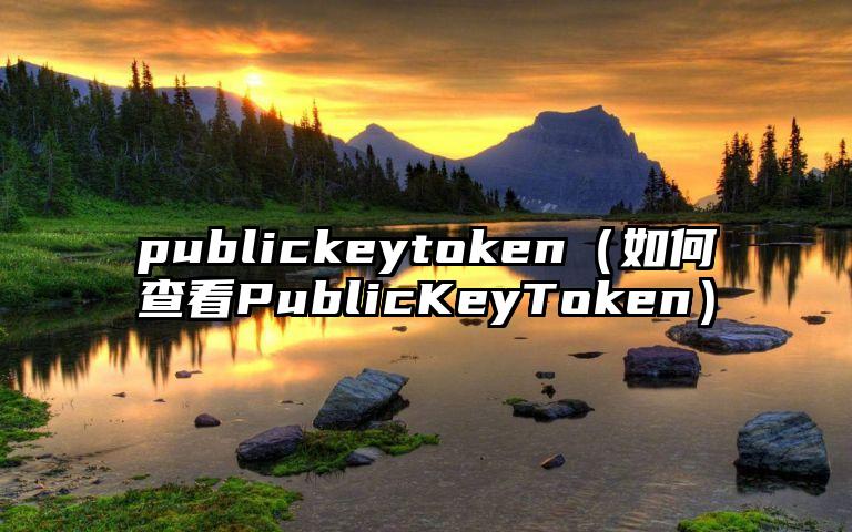 publickeytoken（如何查看PublicKeyToken）
