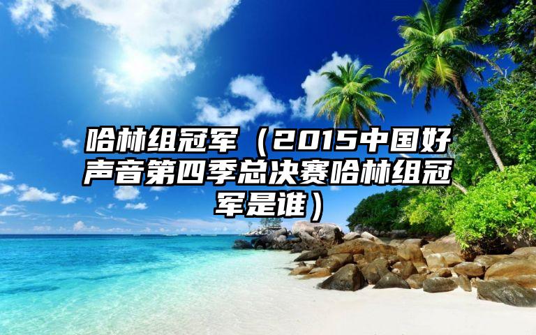 哈林组冠军（2015中国好声音第四季总决赛哈林组冠军是谁）