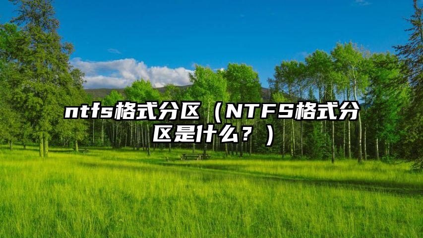 ntfs格式分区（NTFS格式分区是什么？）