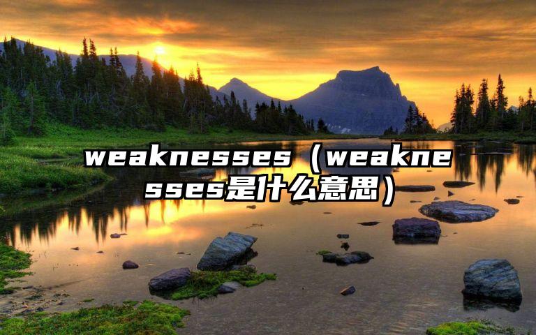 weaknesses（weaknesses是什么意思）