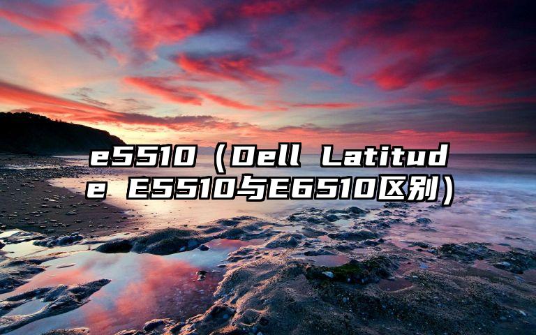 e5510（Dell Latitude E5510与E6510区别）
