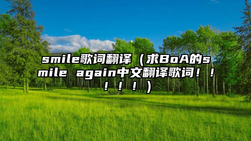 smile歌词翻译（求BoA的smile again中文翻译歌词！！！！！）