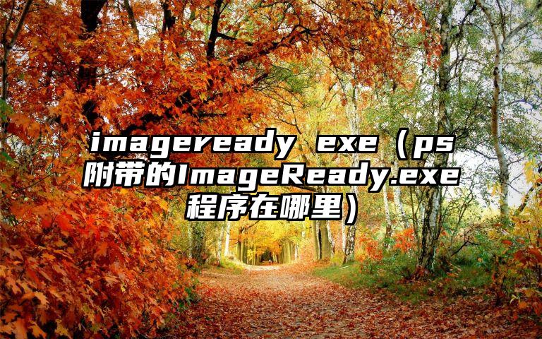 imageready exe（ps附带的ImageReady.exe程序在哪里）