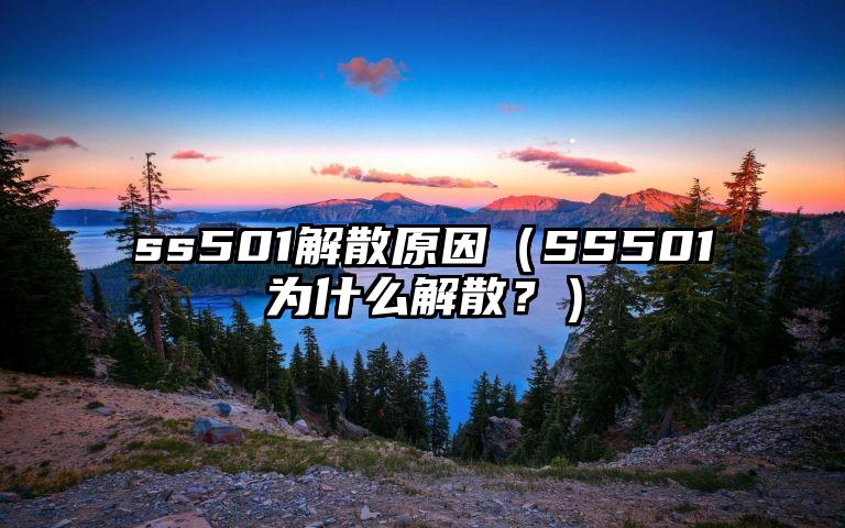 ss501解散原因（SS501为什么解散？）