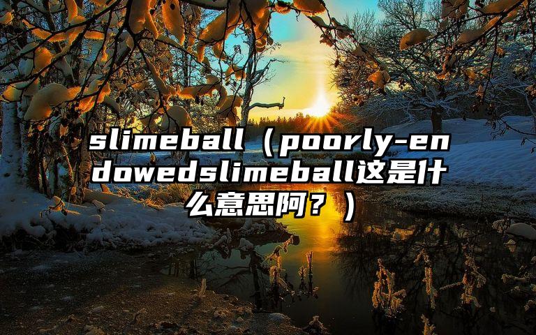 slimeball（poorly-endowedslimeball这是什么意思阿？）