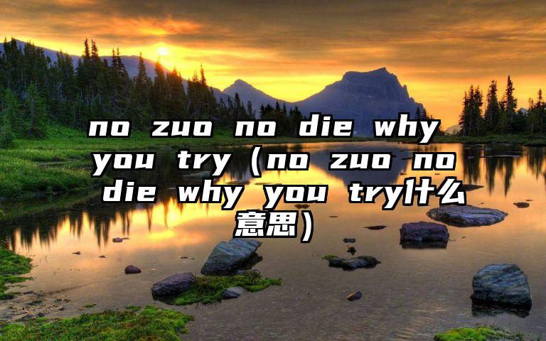 no zuo no die why you try（no zuo no die why you try什么意思）