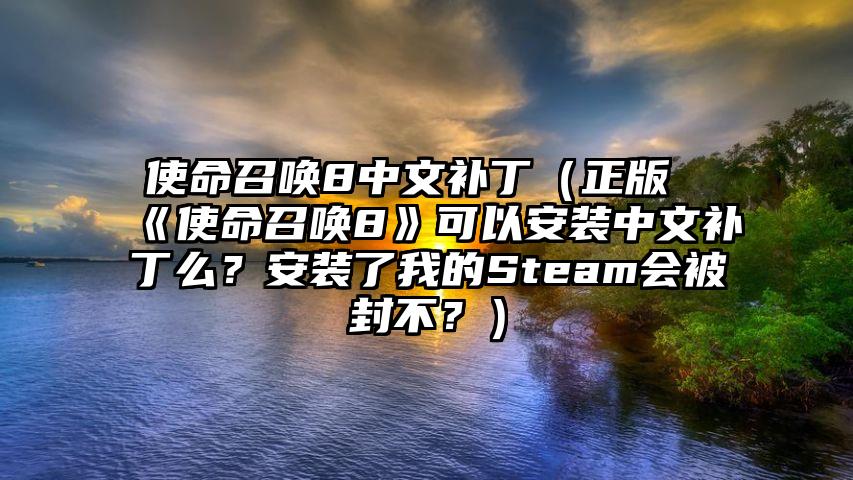 使命召唤8中文补丁（正版《使命召唤8》可以安装中文补丁么？安装了我的Steam会被封不？）