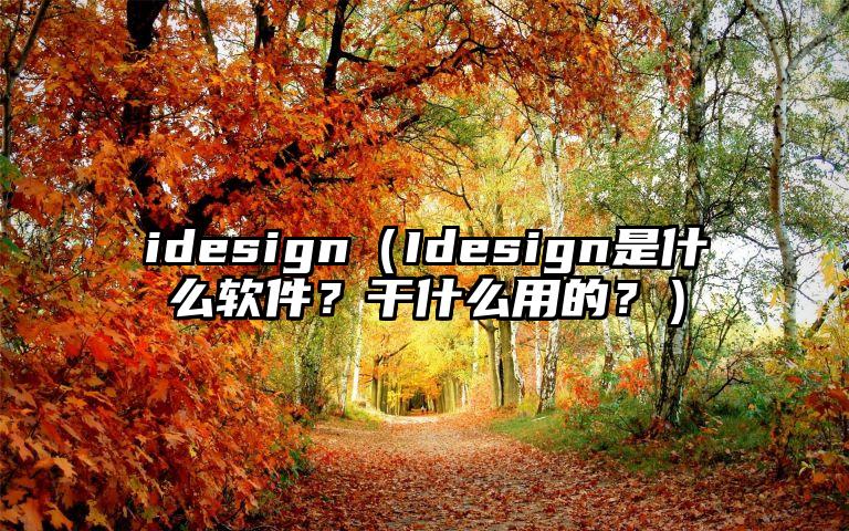 idesign（Idesign是什么软件？干什么用的？）