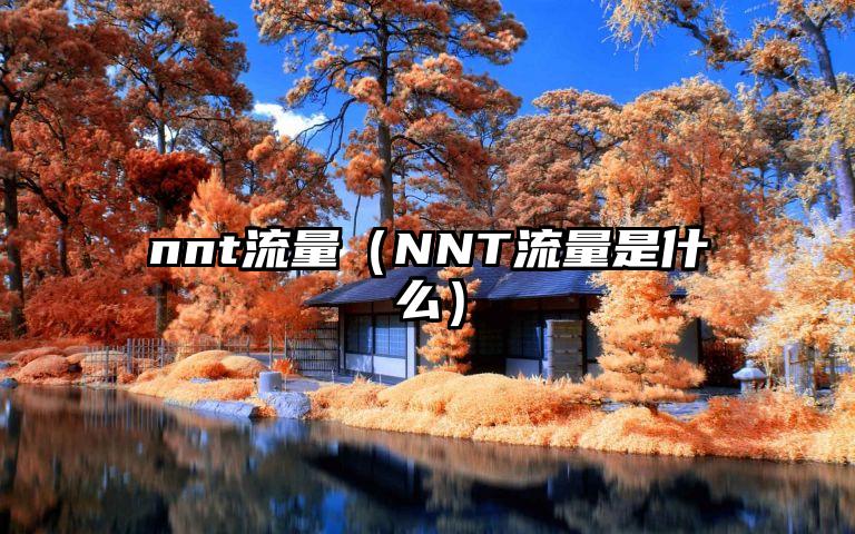 nnt流量（NNT流量是什么）