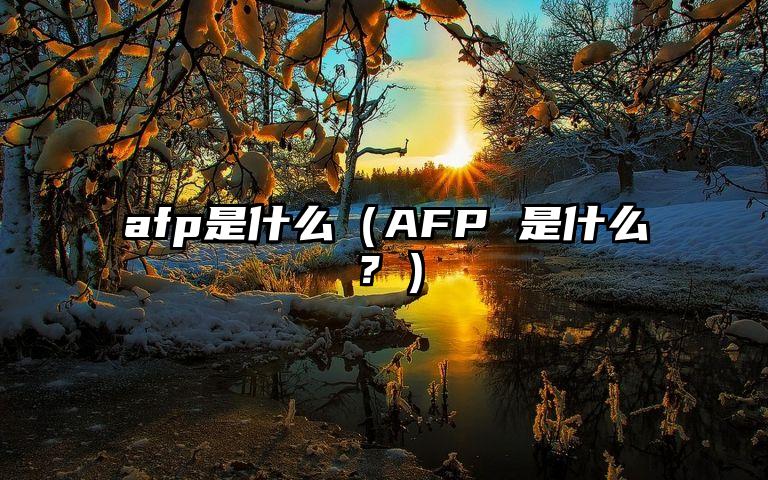 afp是什么（AFP 是什么？）