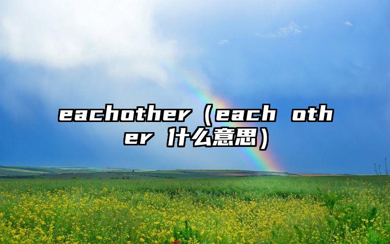 eachother（each other 什么意思）