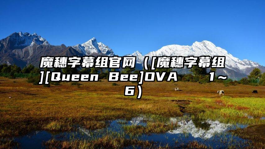 魔穗字幕组官网（[魔穗字幕组][Queen Bee]OVA ピスは1～6）